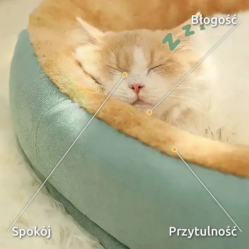 Łóżko w Kształcie Kota Duże Wygodne dla Pupila