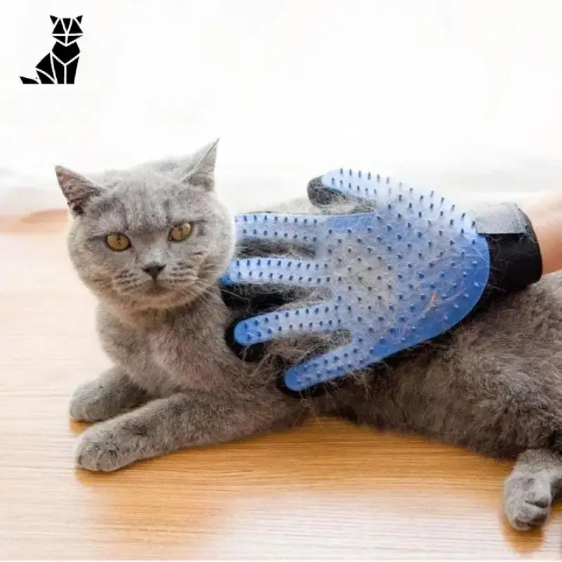 Magical Cat Hair Glove Od Bruce Hill – Idealne Do Czyszczenia Sierści Kota!