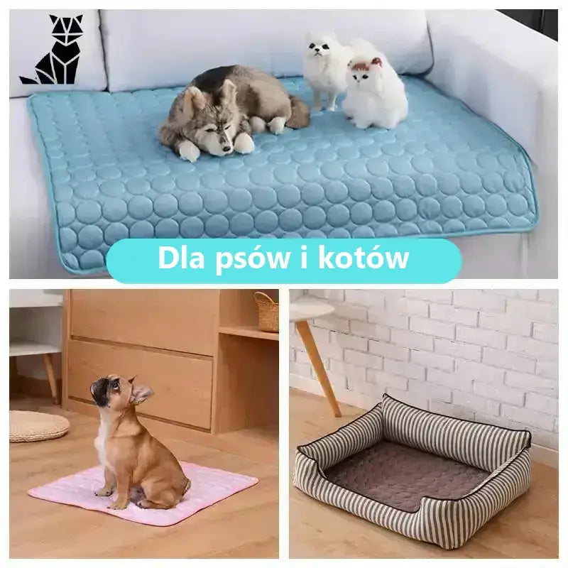 Mata Chłodząca dla Psa Samoaktywująca