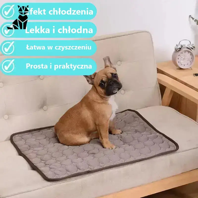 Mata Chłodząca dla Psa Samoaktywująca