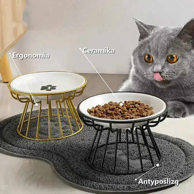 Miseczki dla Kota na Stojaku Ergonomiczne
