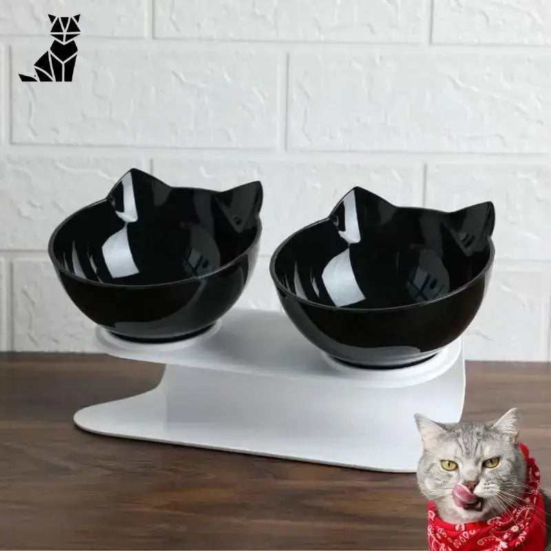 Miska dla Kota Podwyższona Ergonomiczna Catsfood Czarny Para Czarny Podwyższony