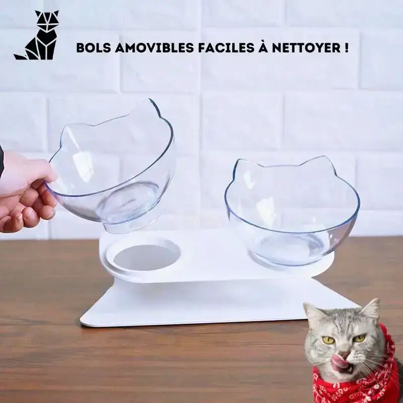 Miska dla Kota Podwyższona Ergonomiczna Catsfood Podwójna Komora Podwyższony Kot