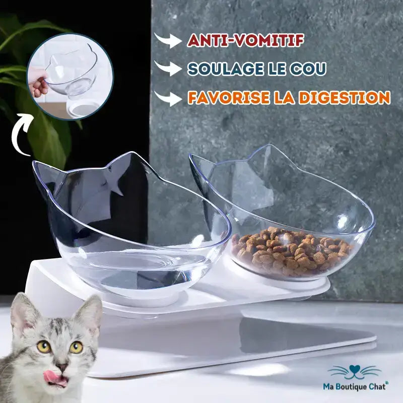 Miska dla Kota Podwyższona Ergonomiczna Catsfood Przezroczysty Podwyższony Czysty Kocie Ucho