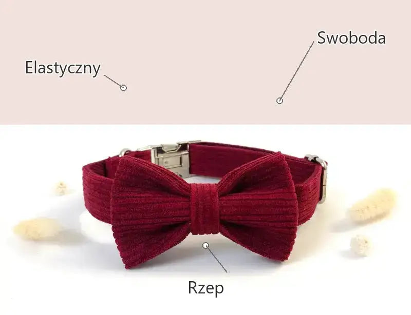 Muszka Szykowny Pies Elegancka na Spacer Tytuł Domyślny