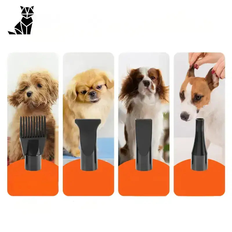 Najlepsza Suszarka dla Psa do Domu Szary Cztery Pies Rasy