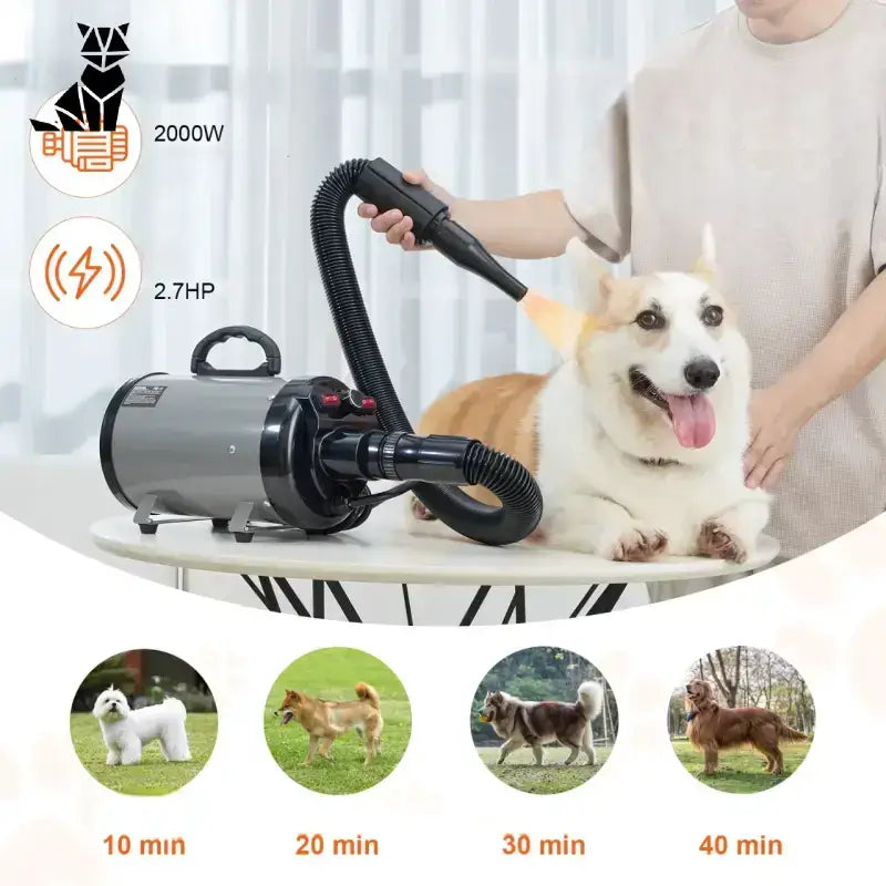 Najlepsza Suszarka dla Psa do Domu Szary Zwierzak Pielęgnacja Suszarka