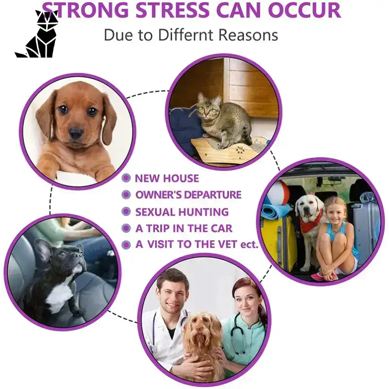 Obroża Antystresowa dla Kota na Codzienny Spokój Fioletowy / Neck Adjustable Infografika Stres Zwierzęta