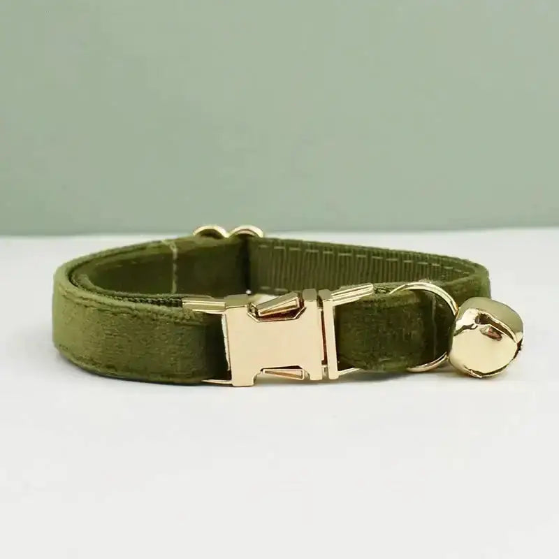 Obroża dla Kota Aksamitna z Personalizacją 20-32cm / f