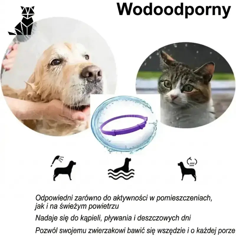 Obroża dla Kota Przeciw Kleszczom i Pchłom