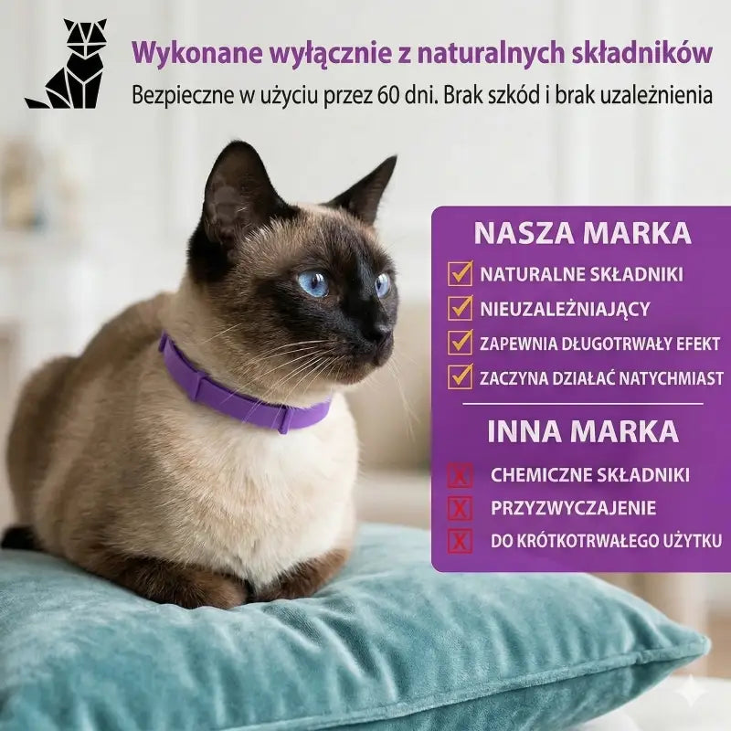 Obroża dla Kota Przeciw Kleszczom i Pchłom