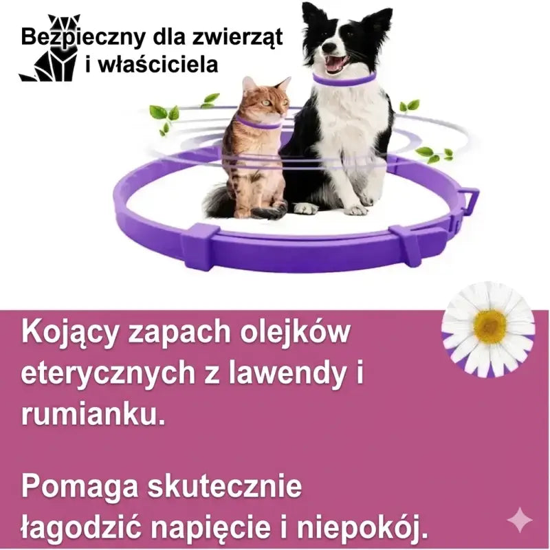 Obroża dla Kota Przeciw Kleszczom i Pchłom