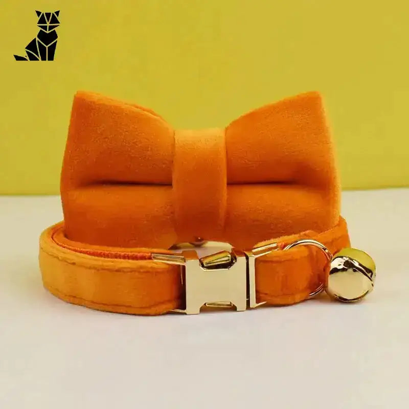 Obroża dla Kota z Imieniem Aksamitna Pomarańczowy z Muszką / S(16-26 Cm) Pomarańczowy Aksamit Zwierzak