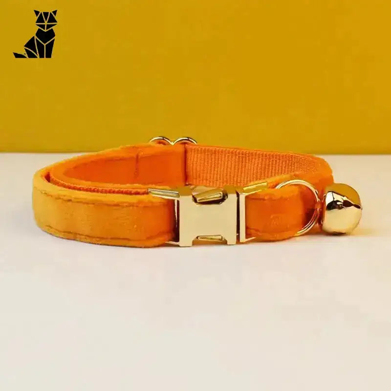 Obroża dla Kota z Imieniem Aksamitna Pomarańczowy / S(16-26 Cm) Pomarańczowy Zwierzak Kołnierz