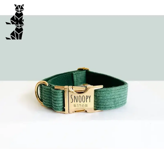 Obroża dla Psa Personalizowana z Zielonego Sztruksu Xs