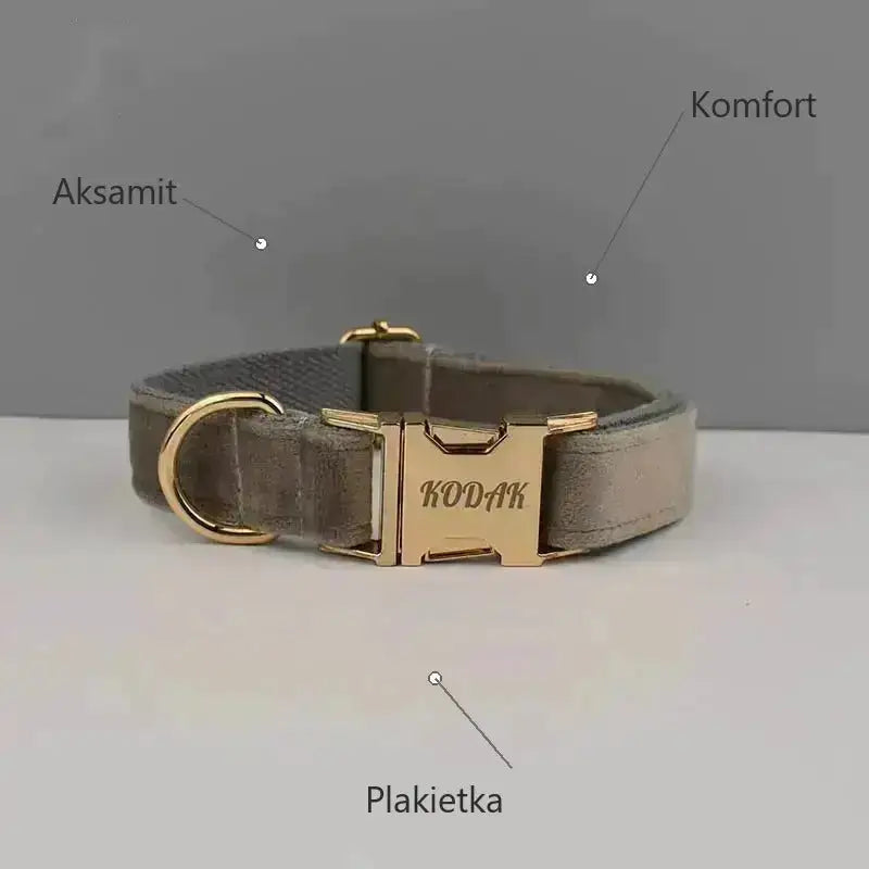 Obroża dla Psa z Identyfikatorem Aksamitna