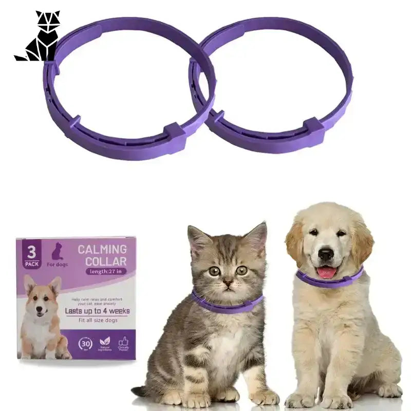 Obroża Feromonowa Kot – Spokój i Harmonia Fioletowy Kot Fioletowy Obroże Psy