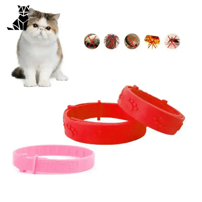 Obroża na Pchły dla Kota – Skuteczna Ochrona Kot Pchła Kleszcz