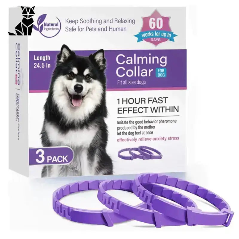 Obroża Przeciw Kleszczom dla Kota Ochronna Maksymalny Rozmiar 62 Cm Pudełko Trzy Fioletowy