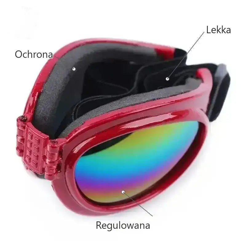 Okulary dla Psa: Stylowy i Komfortowy Dodatek