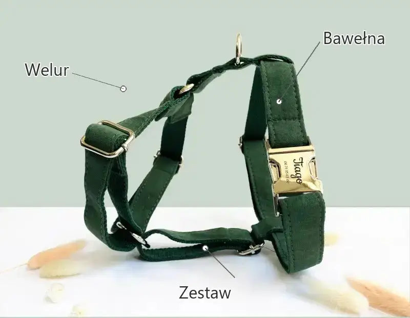 Pies Akcesoria Welurowy Zestaw Spacerowy