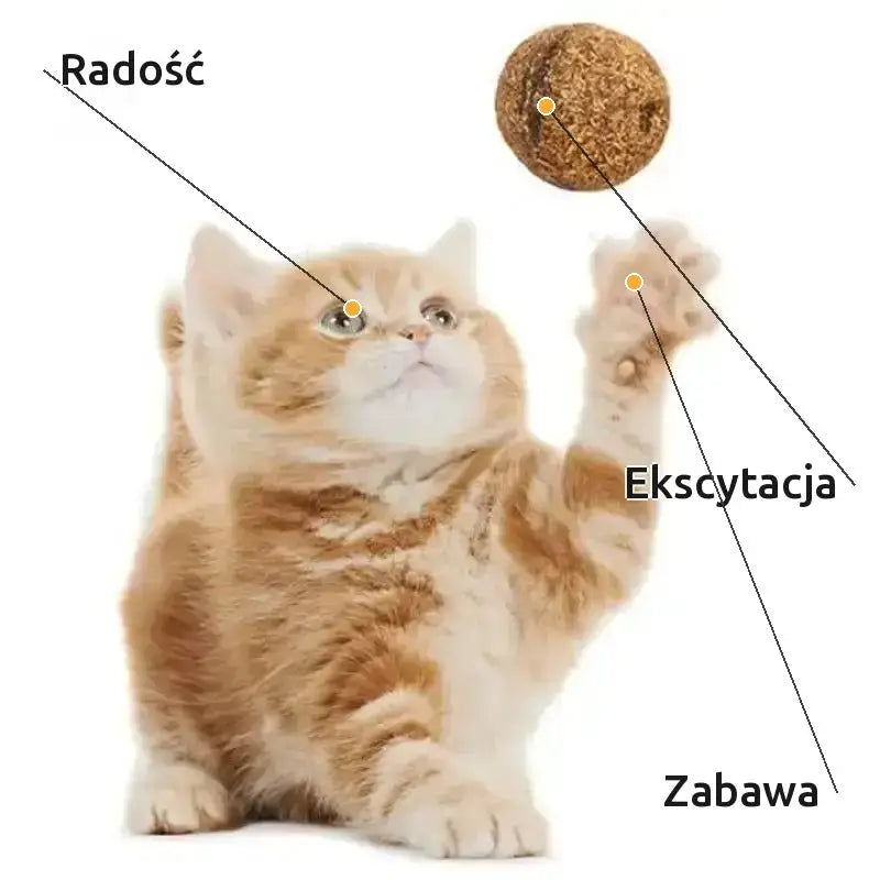 Piłki do Zabawy z Kocimiętką Interaktywne dla Kota Piłka z Kocimiętką