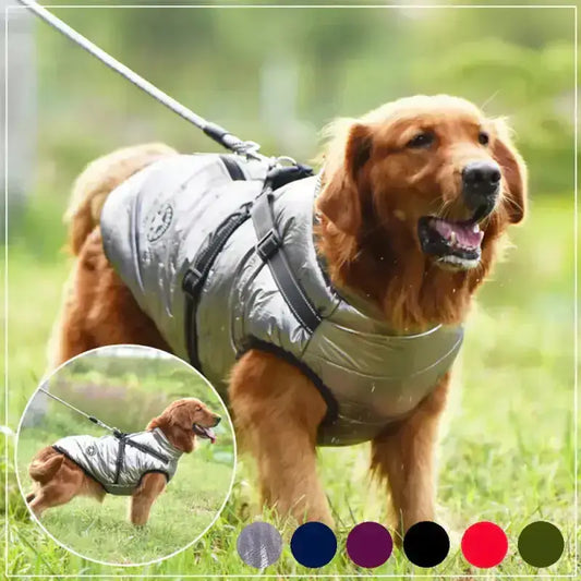 Płaszcz Zimowy z Szelką dla Psa - Komfort i Styl Złoty Retriever Srebro
