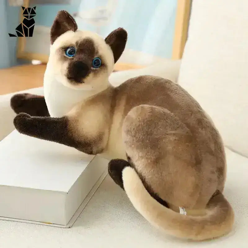 Pluszowy Amerykański Krótkowłosy - Idealny Prezent dla Dzieci Siam Leżący 25cm Plusz Syjam Kot