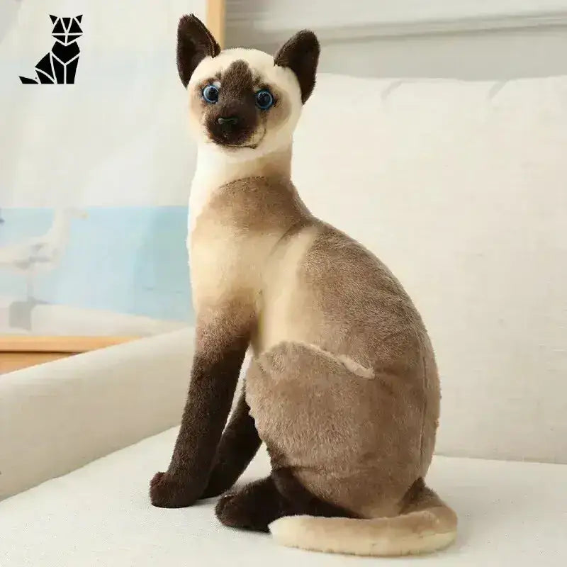 Pluszowy Amerykański Krótkowłosy - Idealny Prezent dla Dzieci Syjam Asyż 20 Cm Plusz Syjam Kot