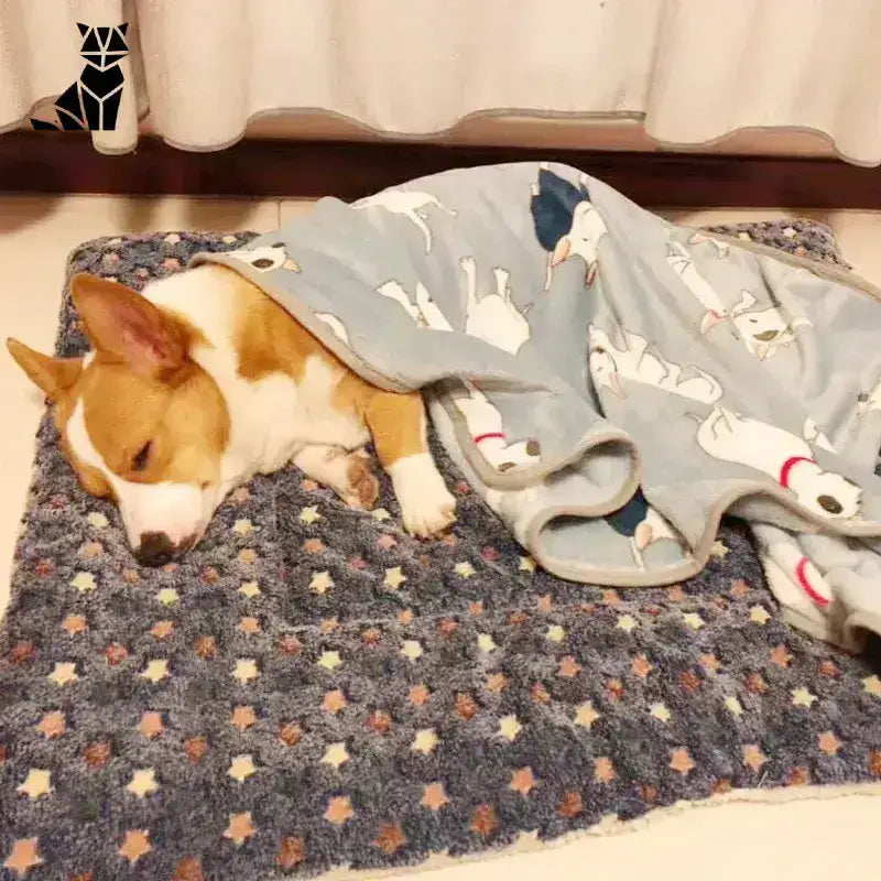 Podgrzewana Mata dla Psa Termoaktywna Antypoślizgowa Corgi Wzorzysty Koc