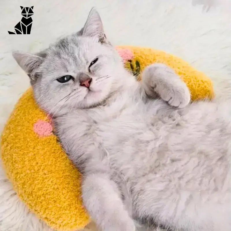 Poduszka dla Kota: Niezrównany Komfort i Relaks Puszysty Srebro Pręgowany