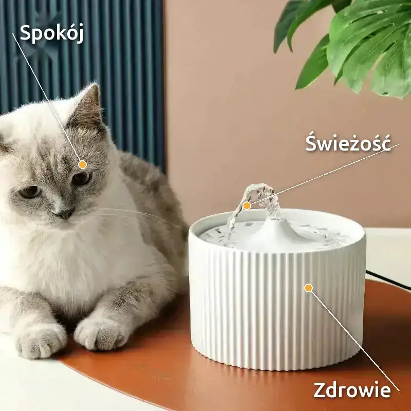 Poidełko dla Kota Ceramiczne Ciche Antybakteryjne