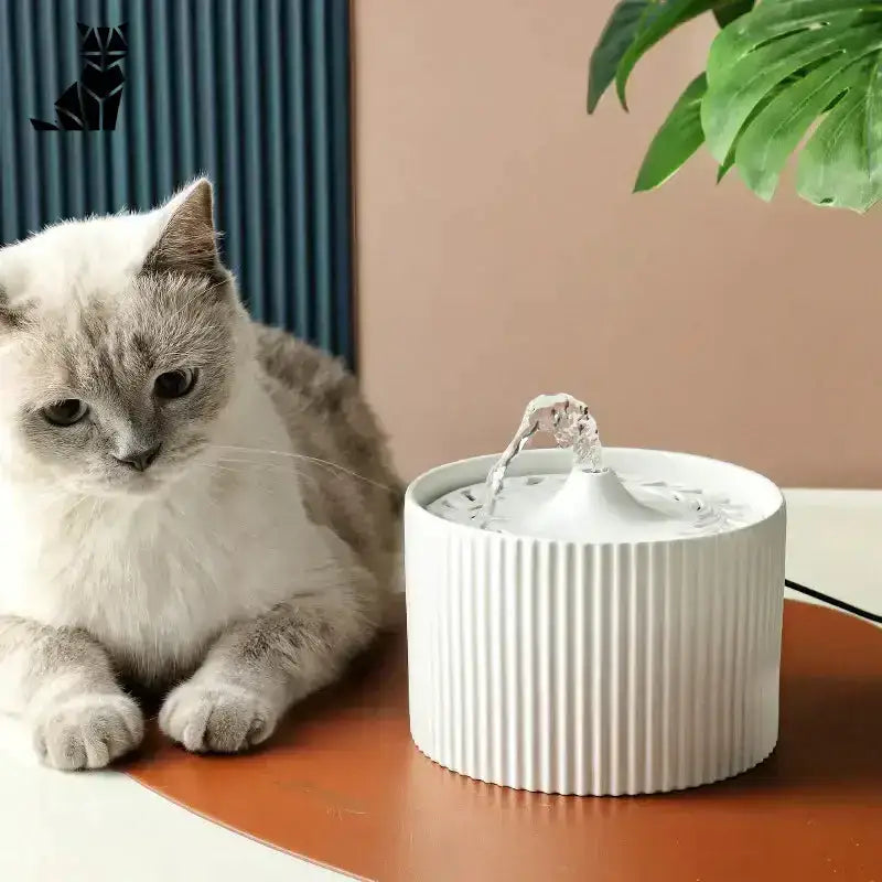 Poidełko dla Kota Ceramiczne Stylowe i Zdrowe Ciemnoszary Biały Ceramika Zwierzak