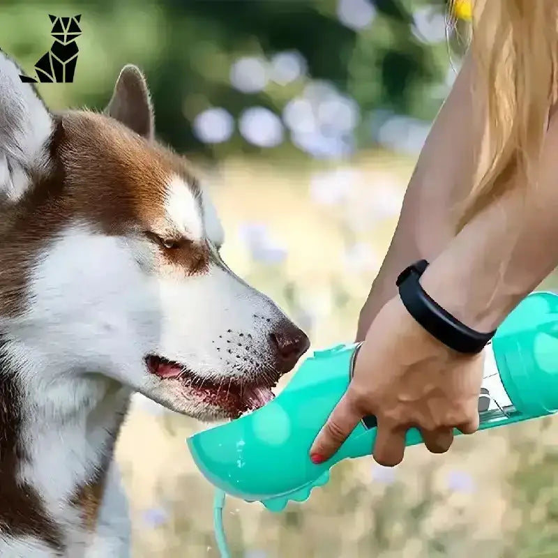 Przenosna Miska dla Psa Skladana na Spacer Husky Przenośny Turkus