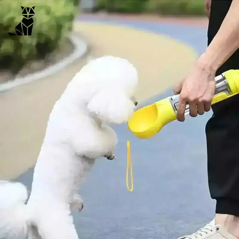 Przenosna Miska dla Psa Skladana na Spacer żółty / 300ml Biały Bichon Frise