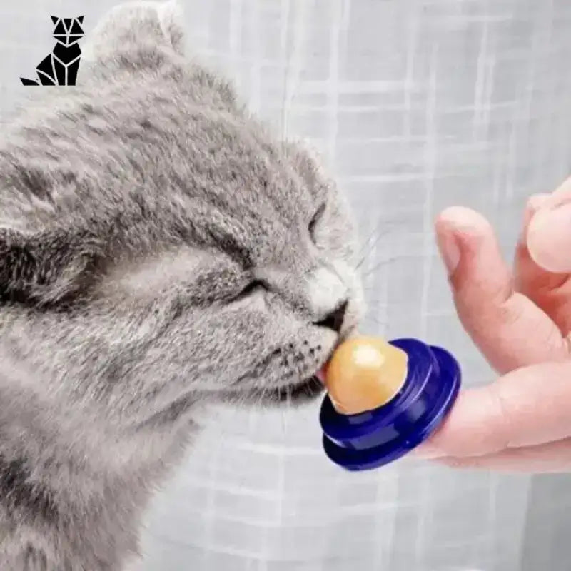 Przysmak dla Kota Wzmacniający Odporność Delicecat™ Szary Kot Traktować