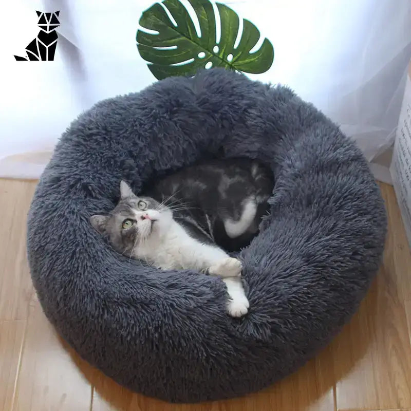 Przytulna Poduszka dla Kota Nuagecats Antystresowa Antracytowy / 50cm / do 5kg Puszysty Szary Runda