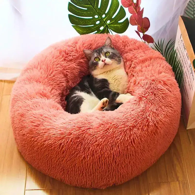 Przytulna Poduszka dla Kota Nuagecats Antystresowa Różowy / 50cm / do 5kg Puszysty Runda Koral