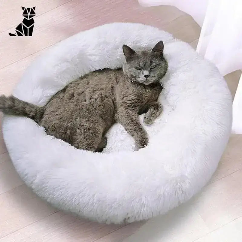 Regenerująca Poduszka dla Kota – Komfort i Zdrowy Sen Biały Krem / Kociak Feliks - 40 Cm Puszysty Biały Okrągły