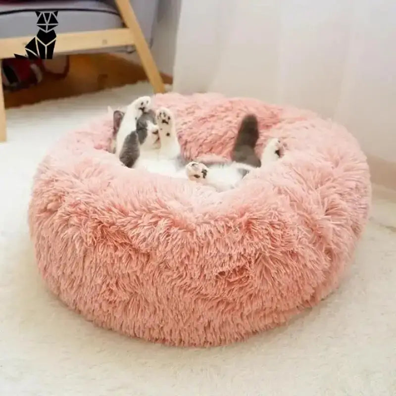 Regenerująca Poduszka dla Kota – Komfort i Zdrowy Sen Puszysty Różowy Zwierzak