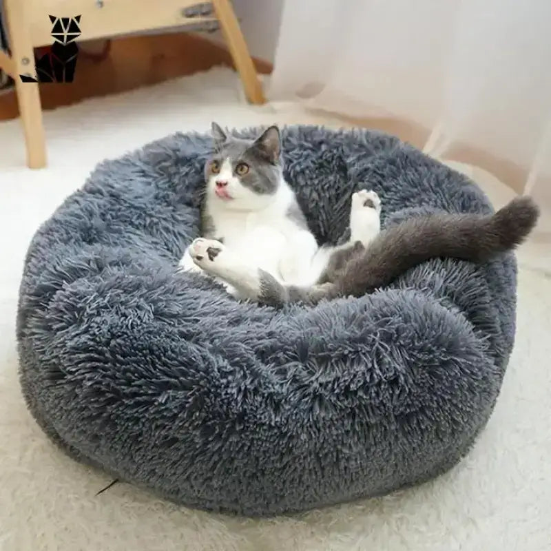 Regenerująca Poduszka dla Kota – Komfort i Zdrowy Sen Szary / Kociak Feliks - 40 Cm Puszysty Runda Szary