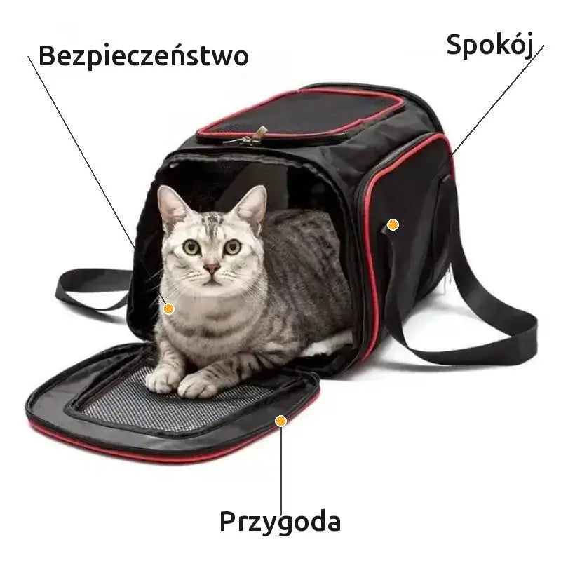 Rozszerzana Torba Podróżna dla Kota Biznesowa Biznes Klasy
