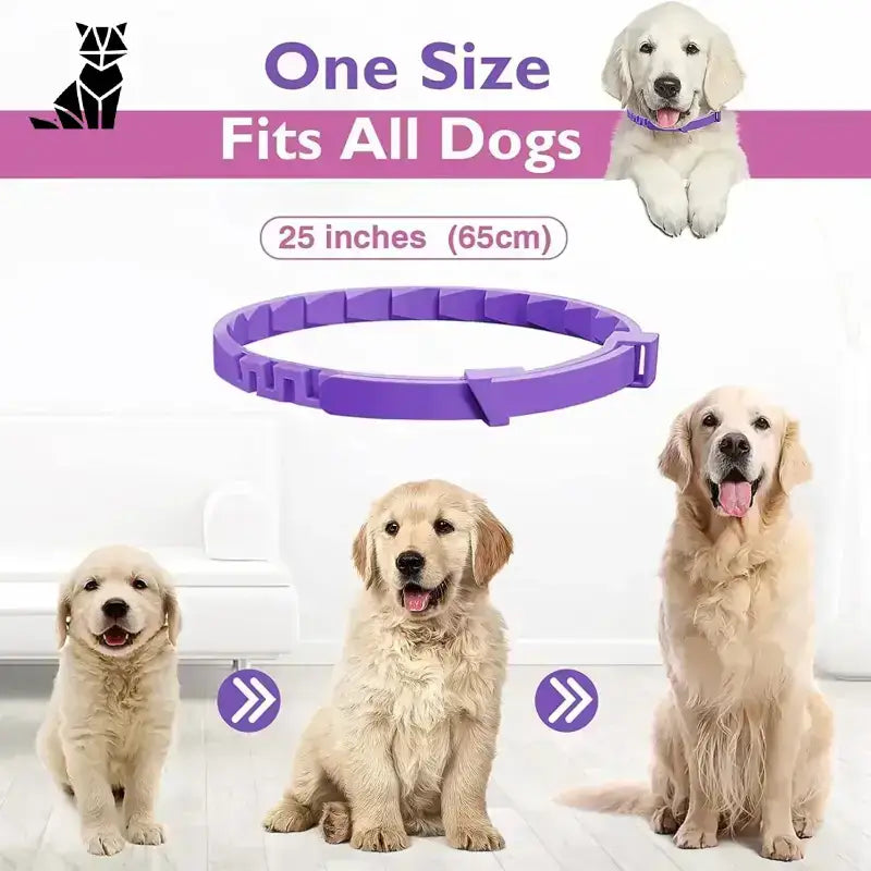 Skuteczna Obroża Przeciw Kleszczom dla Kota Fioletowy Pies Kołnierz