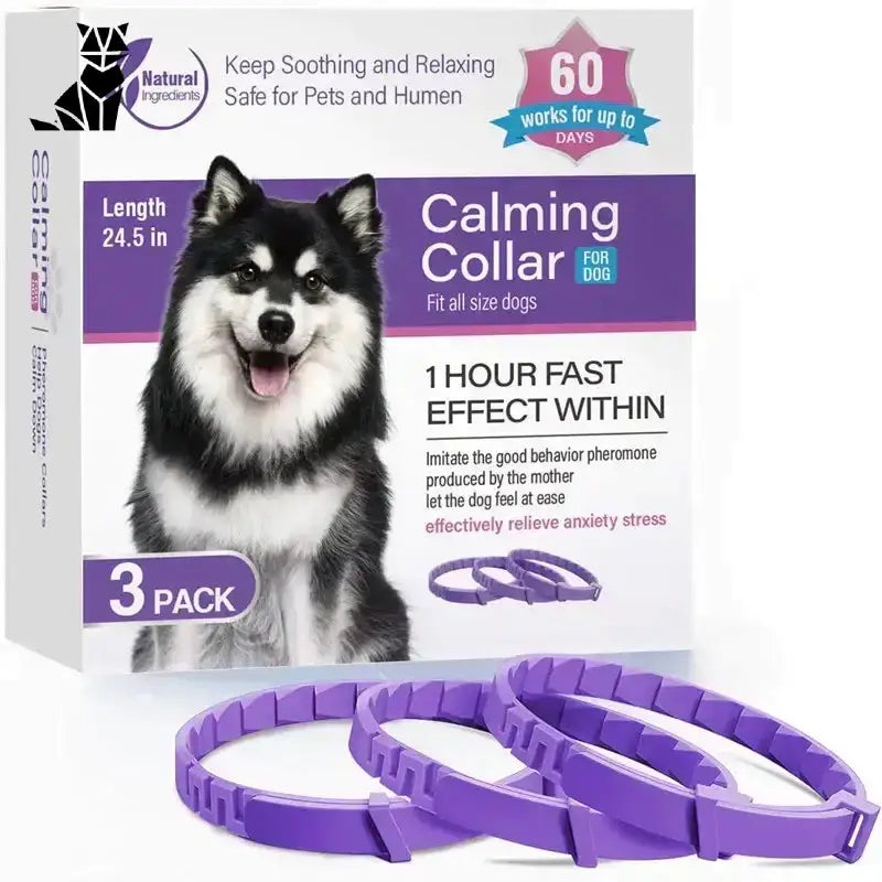 Skuteczna Obroża Przeciw Kleszczom dla Kota Pudełko Trzy Fioletowy