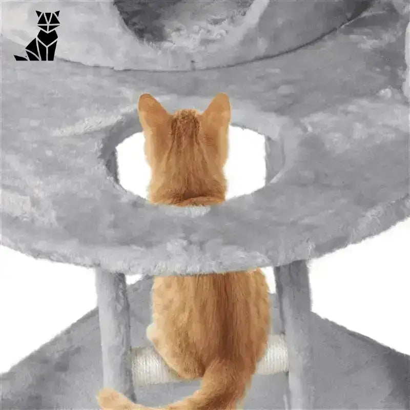 Solidny Drapak dla Kota Dużych Ras Pomarańczowy Kot Grzęznący