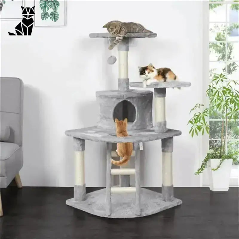 Solidny Drapak dla Kota Dużych Ras Wielopoziomowy Szary Kot