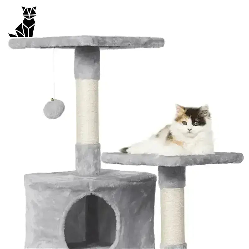 Solidny Drapak dla Kota Dużych Ras Wielopoziomowy Szary Kot