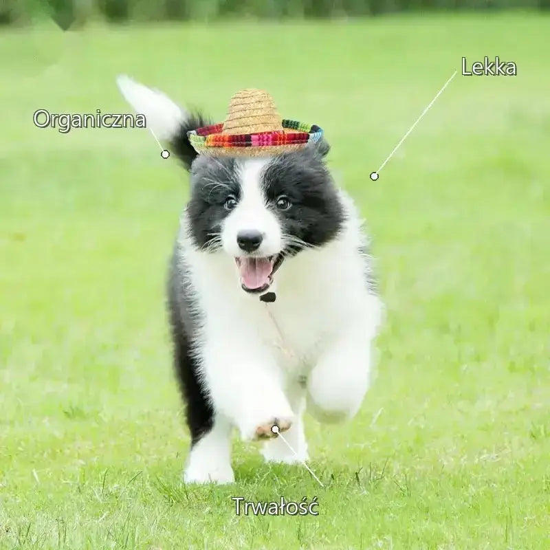 Sombrero dla Psa z Naturalnej Słomy Wygodne Tytuł Domyślny