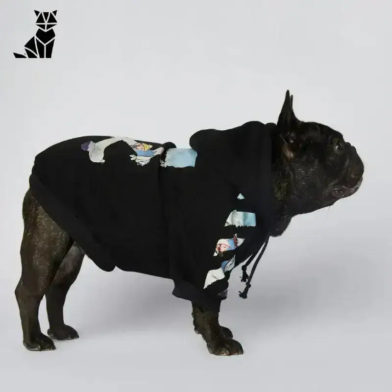 Stylowa Bluza dla Psa na Każdą Porę Czarny Francuski Buldog