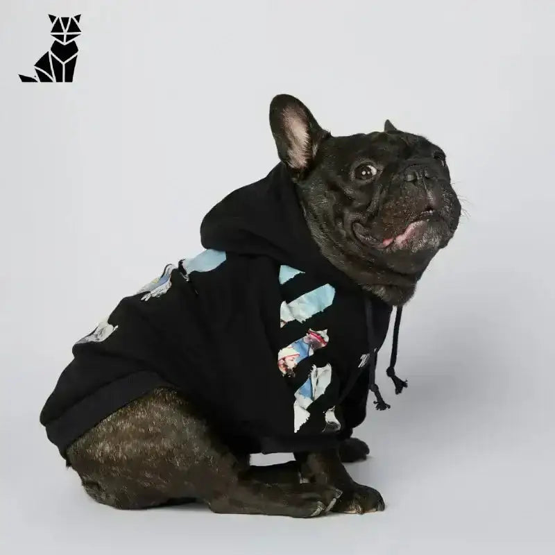 Stylowa Bluza dla Psa na Każdą Porę Czarny Francuski Buldog